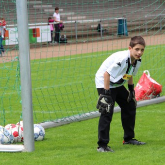 Cedric im Tor